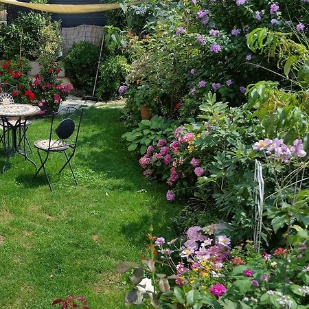 Ferienwohnung Am Berg, 35Qm Rickenbach  المظهر الخارجي الصورة