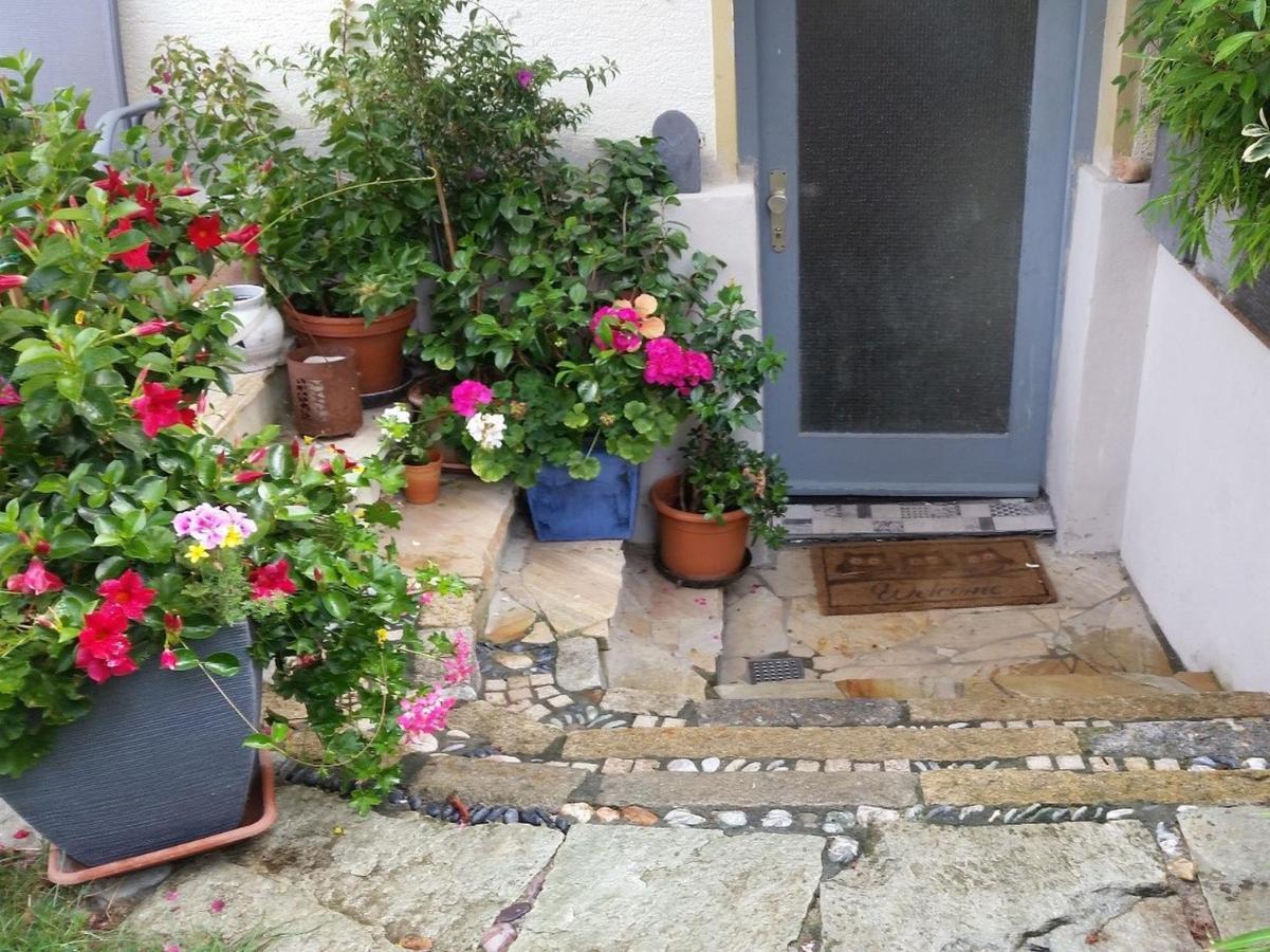 Ferienwohnung Am Berg, 35Qm Rickenbach  المظهر الخارجي الصورة