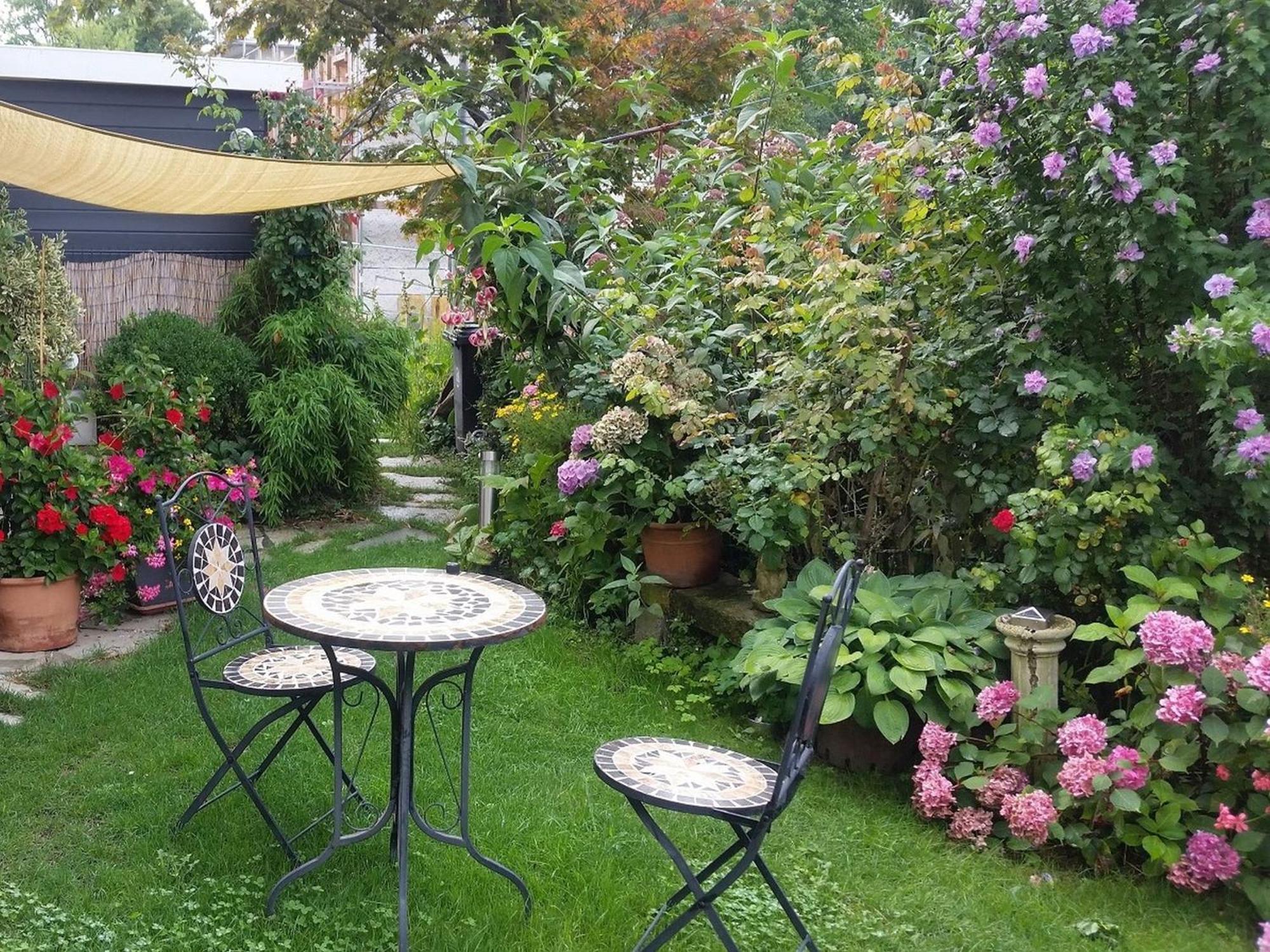 Ferienwohnung Am Berg, 35Qm Rickenbach  المظهر الخارجي الصورة