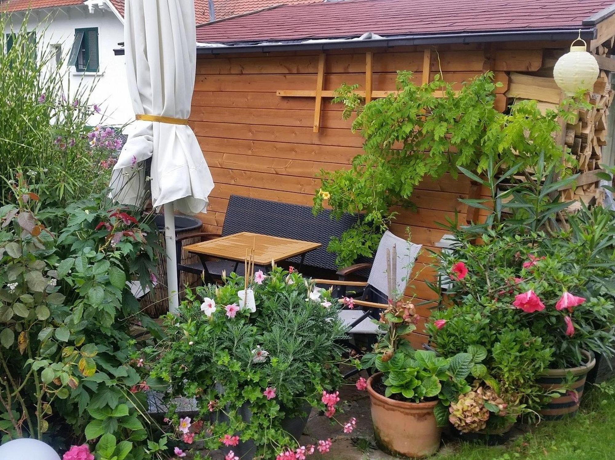 Ferienwohnung Am Berg, 35Qm Rickenbach  المظهر الخارجي الصورة
