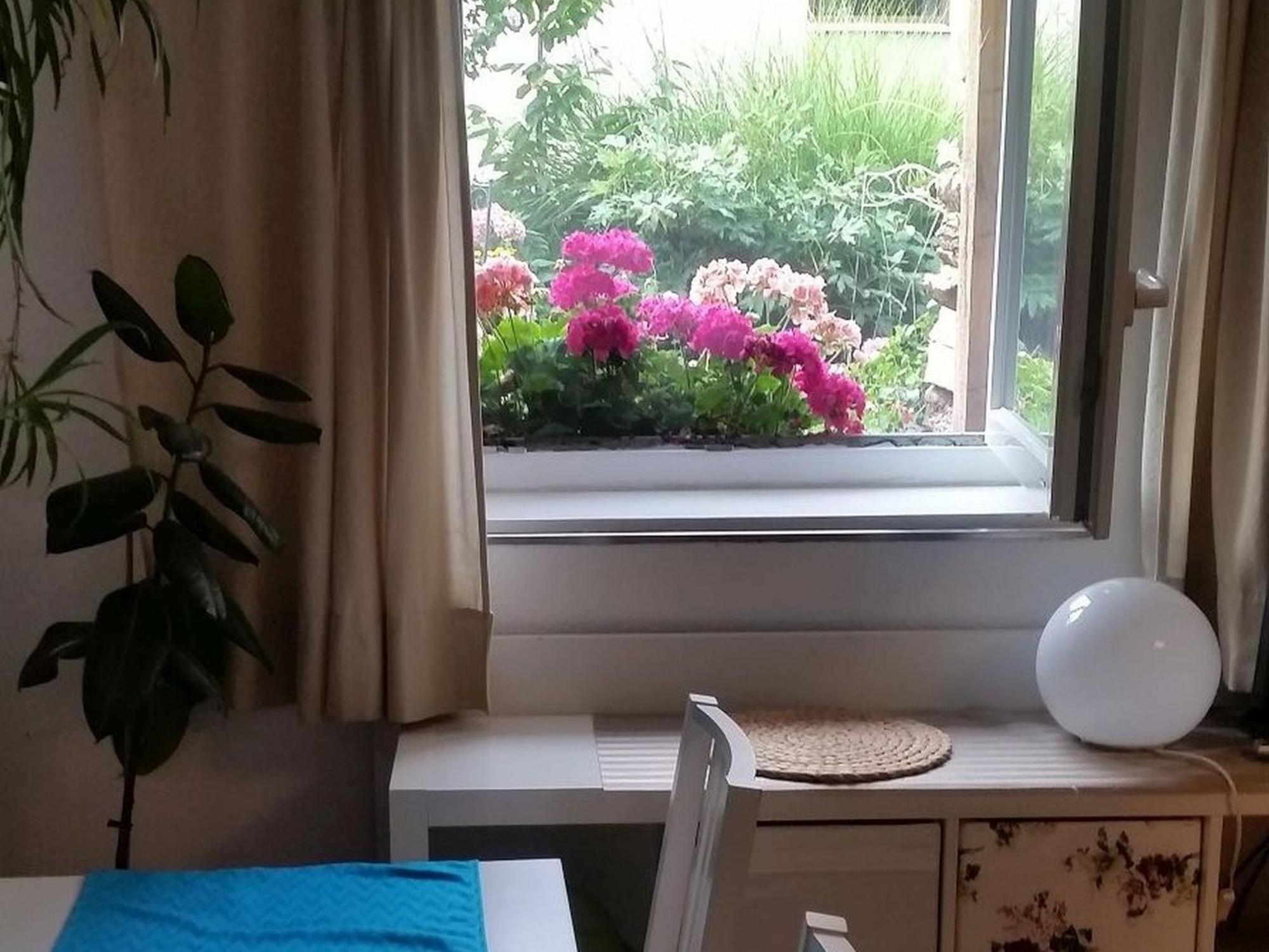 Ferienwohnung Am Berg, 35Qm Rickenbach  المظهر الخارجي الصورة