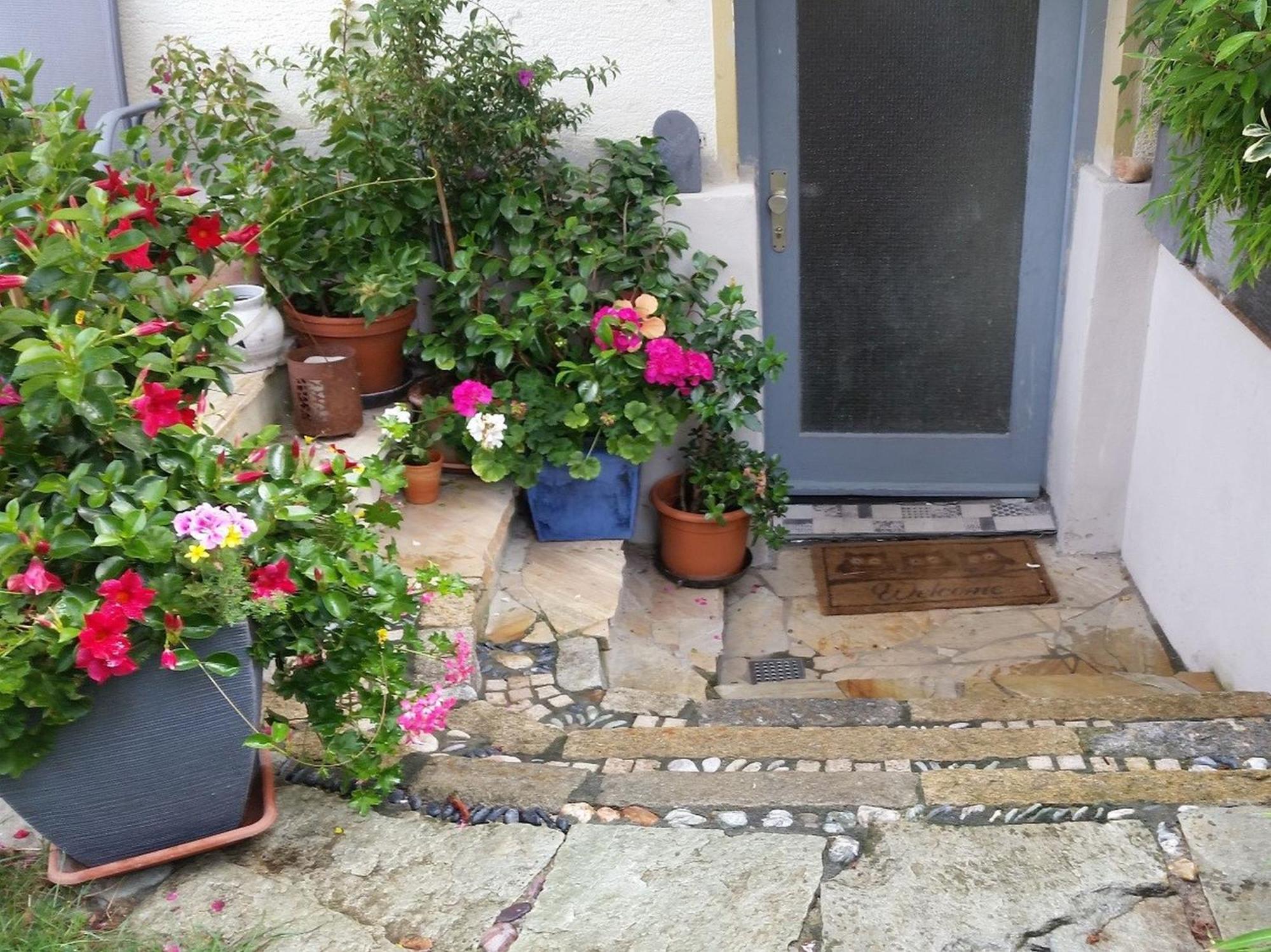 Ferienwohnung Am Berg, 35Qm Rickenbach  المظهر الخارجي الصورة