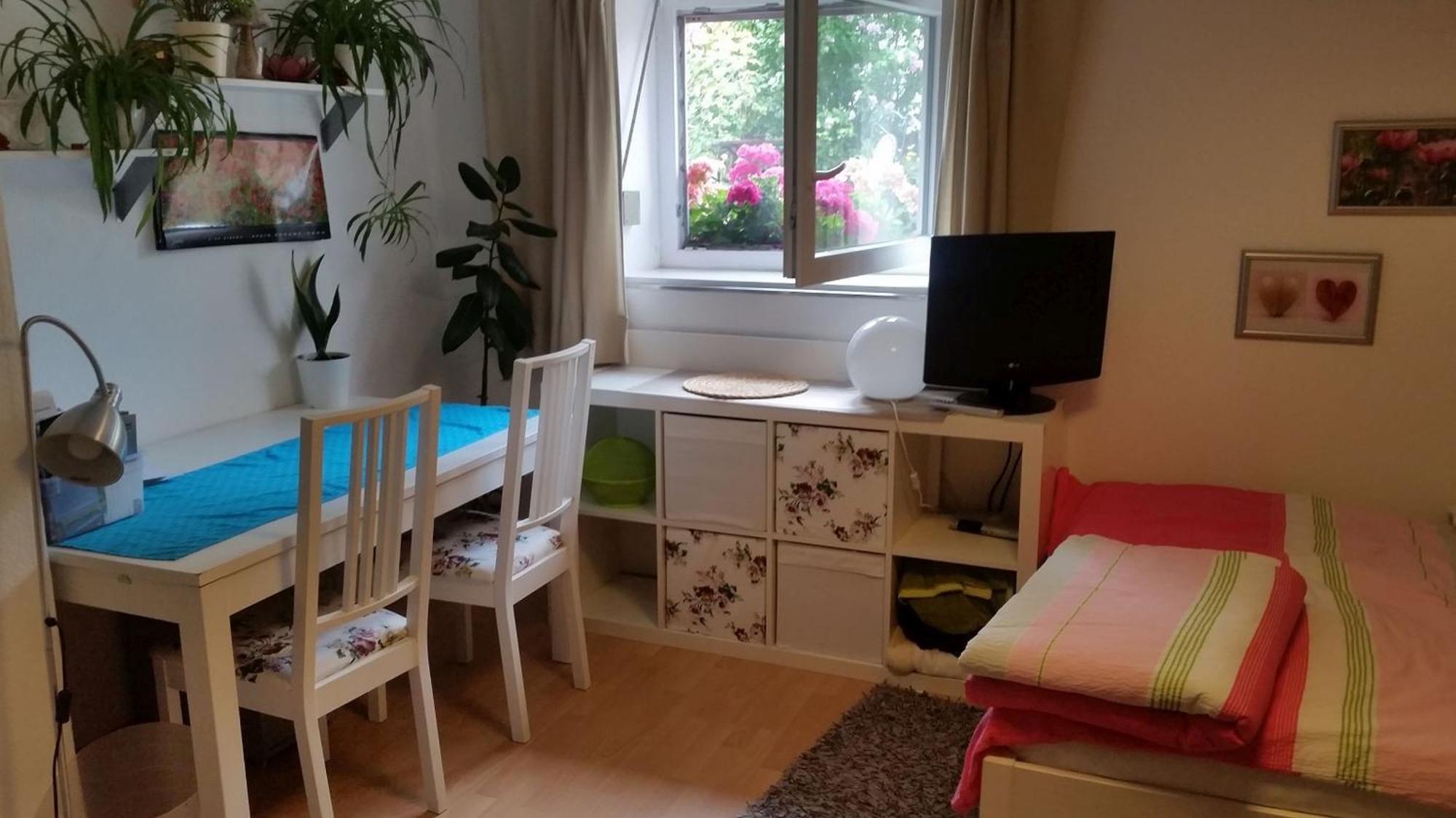 Ferienwohnung Am Berg, 35Qm Rickenbach  المظهر الخارجي الصورة